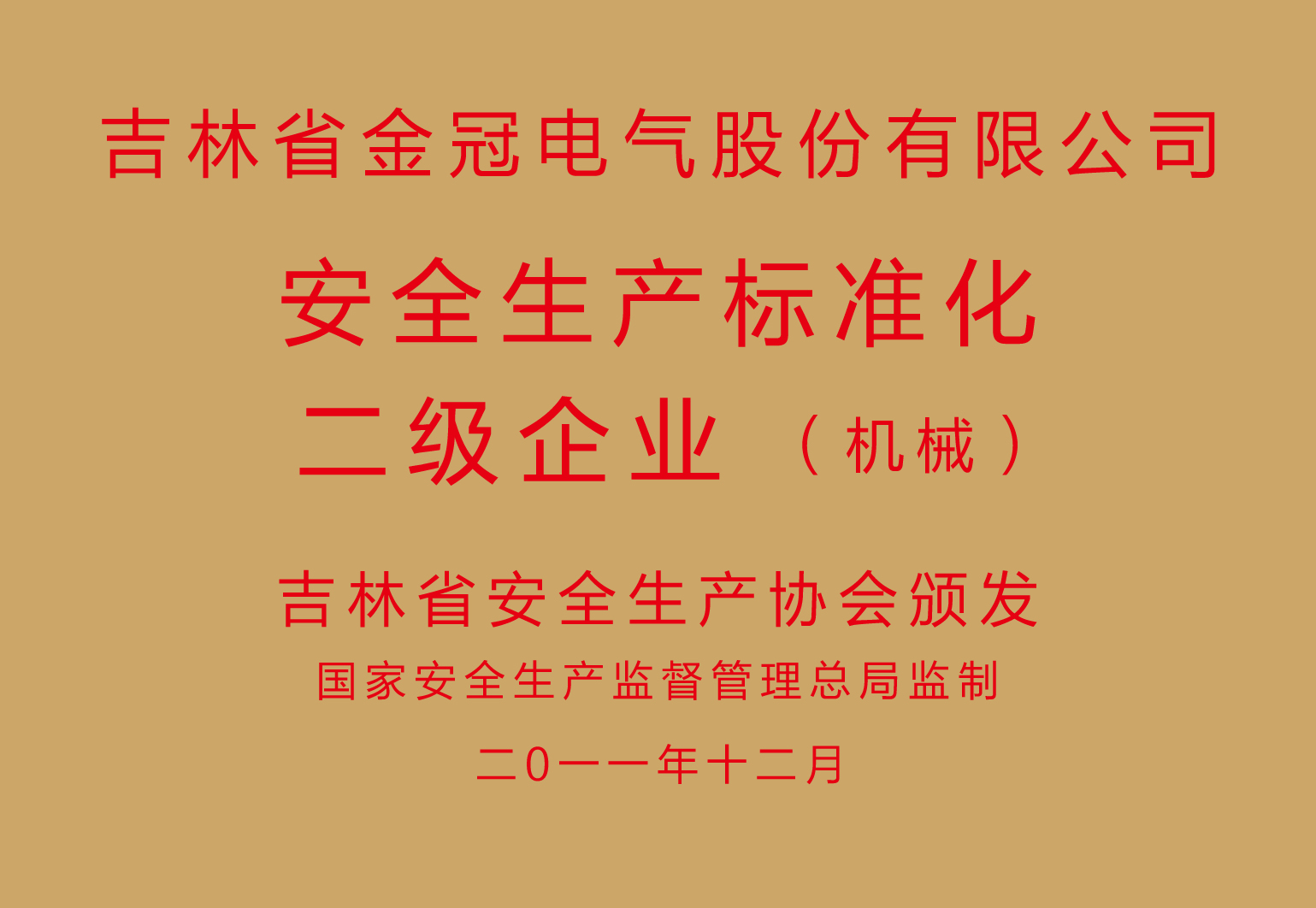 安全生產(chǎn)標(biāo)準(zhǔn)化二級企業(yè)